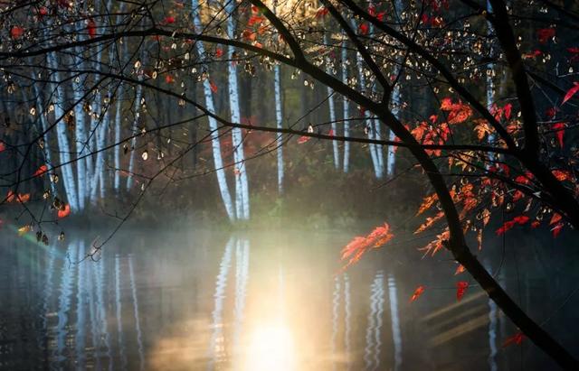 秋天的古诗大全（30个温柔且干净的秋天诗句）