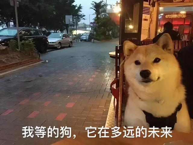 鞋狗们的七夕礼物已签收，这次你真的送对了吗？ 送女朋友礼物排行榜