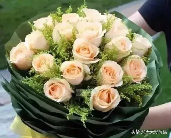 情人节送玫瑰花图片今日七夕情人节，999朵玫瑰送给所有的朋友！祝你节日快乐