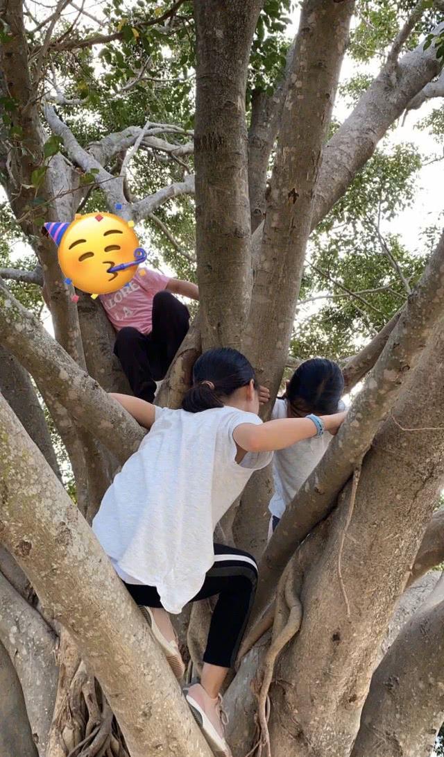 黎姿兒童節曬仨女兒近照，女兒們各個調皮，六一活動變爬樹比賽 娛樂八卦吃瓜 第4张