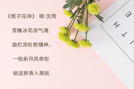 送女朋友的礼物良心推荐，圣诞、跨年、生日赶快get起来！ 圣诞节送女朋友什