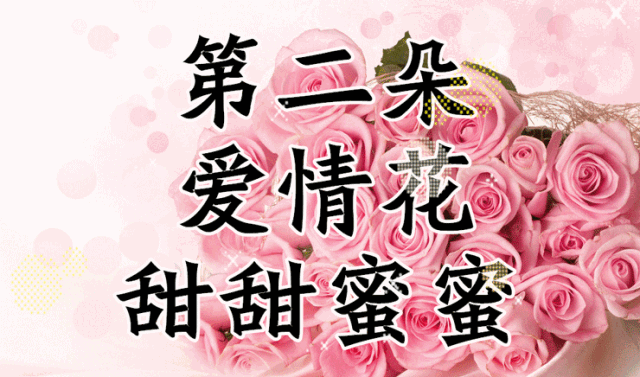 情人节送媳妇什么礼物中国情人节，送你七朵花，愿你好运连连、幸福开花