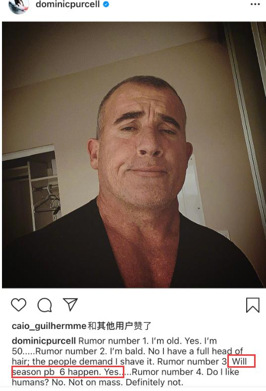 汤姆影视最新