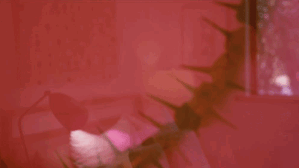 上海妈妈有房不住，20年不断租房搬家：重新装修很上瘾