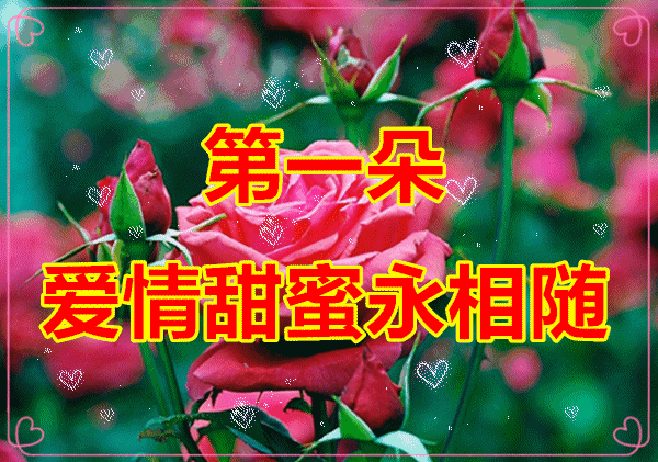 情人节送男朋友什么礼物好今天520情人节，9朵爱的玫瑰送给在乎的你，愿你开