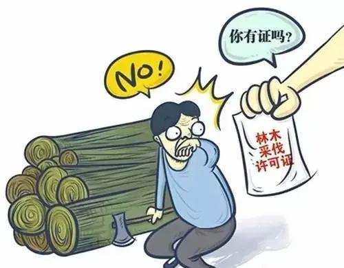 汤姆影视最新