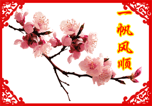 情人节送什么礼物今日情人节，太漂亮了，发到群里，朋友们会爱死你的