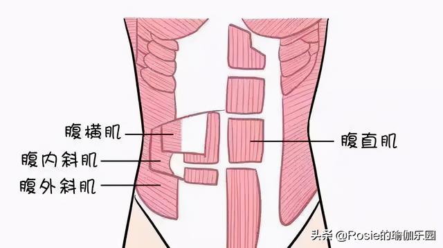 怒甩豪門消失7年，39歲陳法拉產女，產後瘦肚子如何不踩坑？ 健身減肥達人 第19张