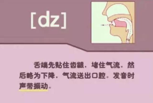 英语在线点读,48个英语音标正确读法点读