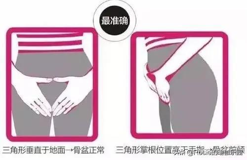 朱珠曬孕照優雅美麗，產後如何擺脫媽媽臀？關注這三點臀翹不腰痛 健身減肥達人 第19张