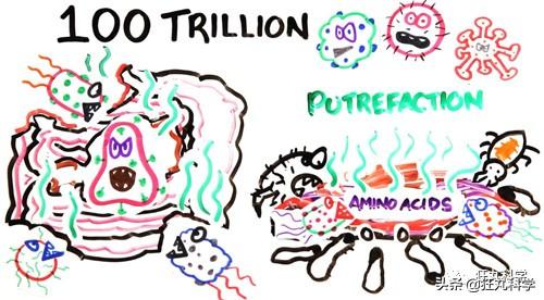 人死后会怎么样，人死后会发生哪些变化（人死后身体会发生什么）