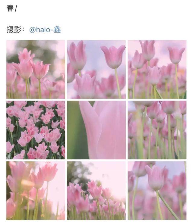 美易P图教程（九宫格创意出圈保姆级教程）