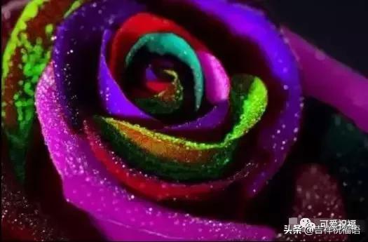 情人节送什么明天情人节，99玫瑰送给群里朋友，祝你们情人节快乐，永远健康