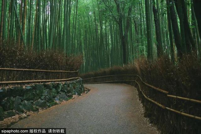 情人节送女朋友什么礼物比较有意义七夕宝典 – 山有木兮卿有意，昨夜星辰恰似