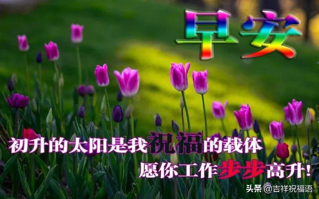 周二清晨微信群发早上好温馨问候语句，早晨最美早安祝福短信句子