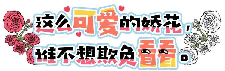 情人节送闺蜜什么礼物正经人，谁过七夕送玫瑰啊