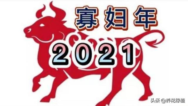 十二生肖日历表2021年图片插图3