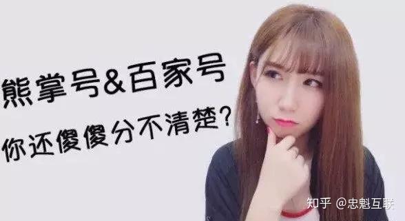 熊掌号与百家号的区别（熊掌号和百家号什么关系）
