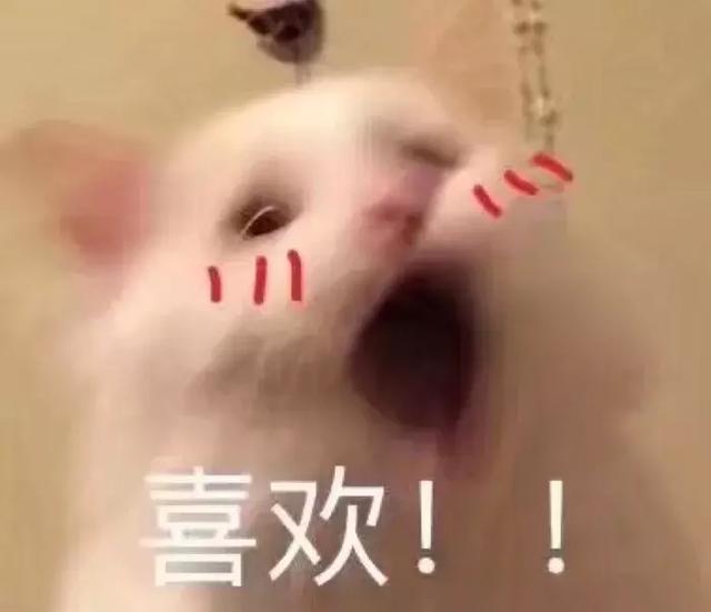 直男送命题！女生最想要的礼物究竟是什么？ 圣诞节送女朋友什么礼物
