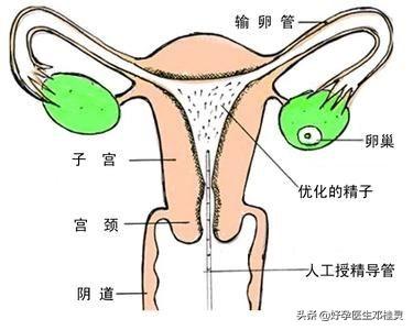 老版周公解梦原版免费周公解梦大全查询2345插图3