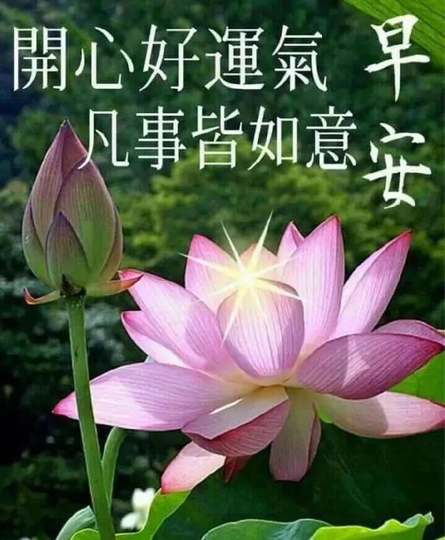 人生道路,没有过不去的坎,你不能坐到坎边等它消退,你只有想办