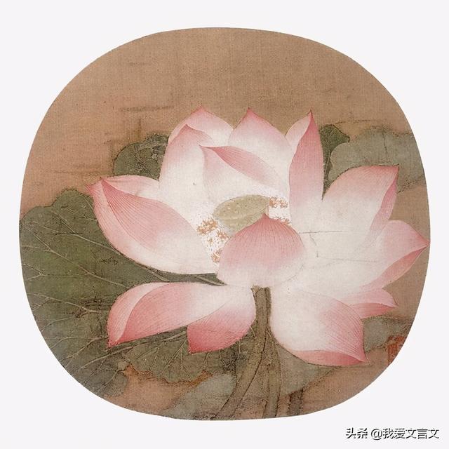 爱莲说作者是谁（北宋·周敦颐《爱莲说》赏析）