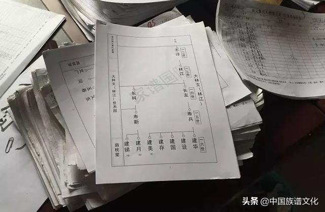 家谱世系表怎样表示最直观，专家告诉你如何编写家谱世系图