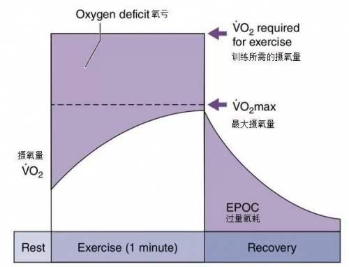波比跳一天做幾個才減肥？不知道這兩個理論何來快速瘦身？ 健身減肥達人 第9张
