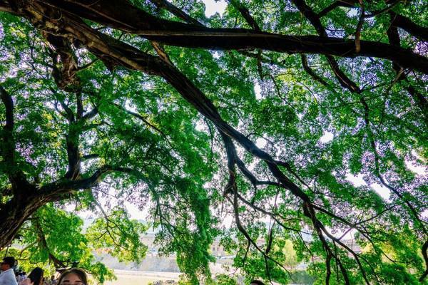 福建南靖千年古镇云水谣，带你解锁不一样的精彩