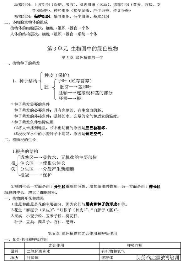 初中生物最全知识点 记忆口诀 思维导图 纯干货 小初高题库试卷课件教案网