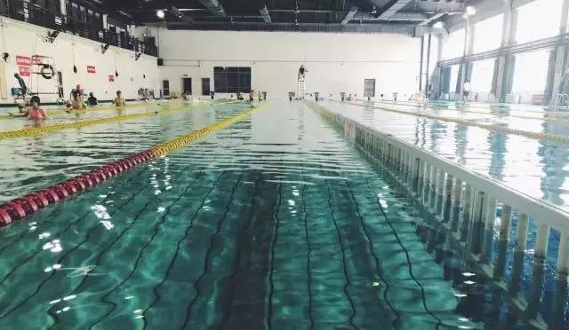 杭州特色游泳馆，小起点攻略篇带你一步到位