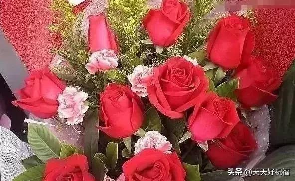 情人节送玫瑰花图片今日七夕情人节，999朵玫瑰送给所有的朋友！祝你节日快乐