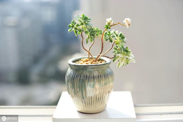进新房送什么礼物好 搬家送什么礼品