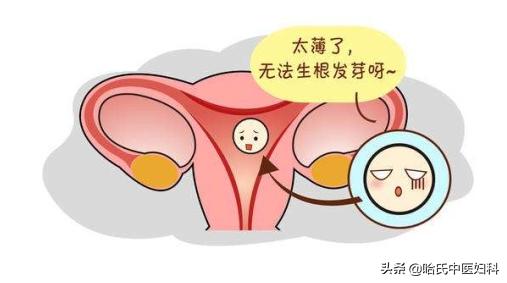 子宮內膜薄、卵泡長得慢、月經量少！想懷孕，不妨試試這樣調理 - 天天要聞