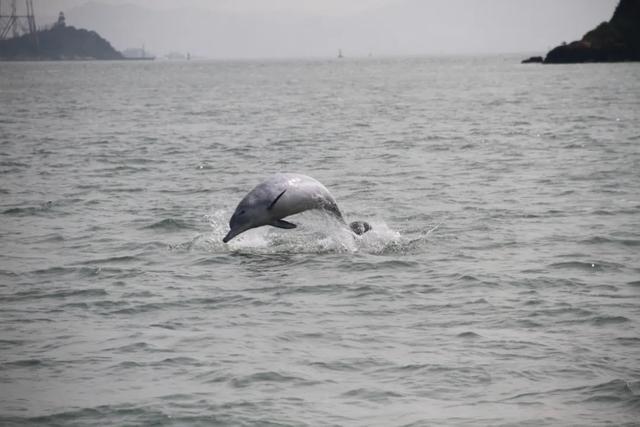 2020年“美丽中国，我是行动者” 主题摄影比赛微信投票通道正式开启