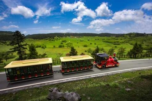 重庆旅游必去十大景点，重庆必去的十大景点推荐（重庆主城十大网红打卡景点）