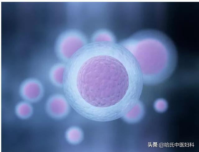 子宮內膜薄、卵泡長得慢、月經量少！想懷孕，不妨試試這樣調理 - 天天要聞