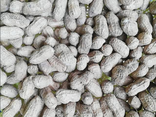 花生米怎么炒出来又脆又酥，学会一个小技巧