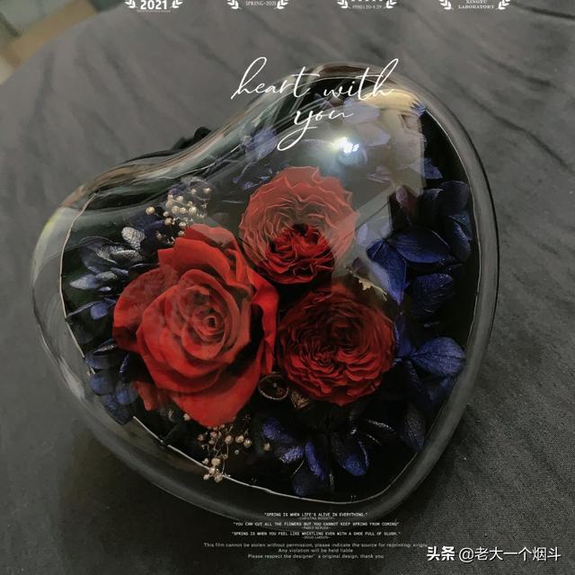 情人节送女朋友礼物_12
