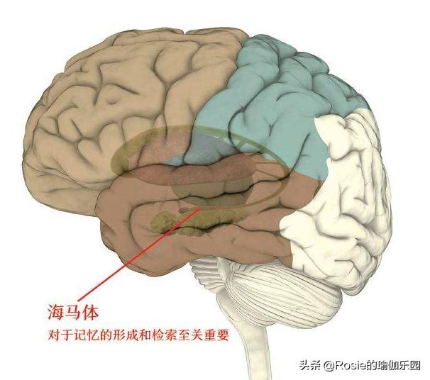 天冷身體僵緊運動難？秋冬運動要注意什麼？5個瑜伽動作纖腰瘦腹 健身減肥達人 第3张