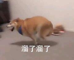 有没有必要买蜂窝版苹果手表，路上捡了个400块的苹果手表