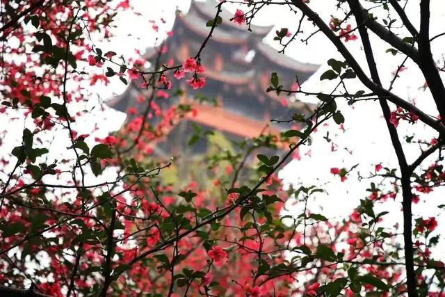 朱熹两首经典诗歌赏析（观书有感、春日）