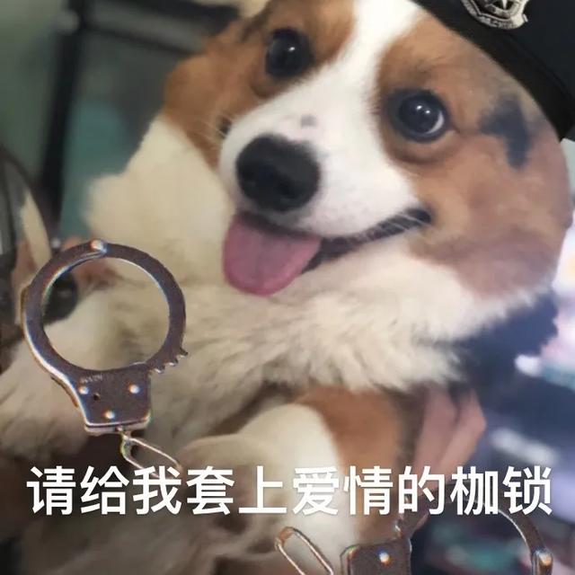 3个高级又实用的七夕礼物，甜甜甜哭了 送女朋友什么礼物好