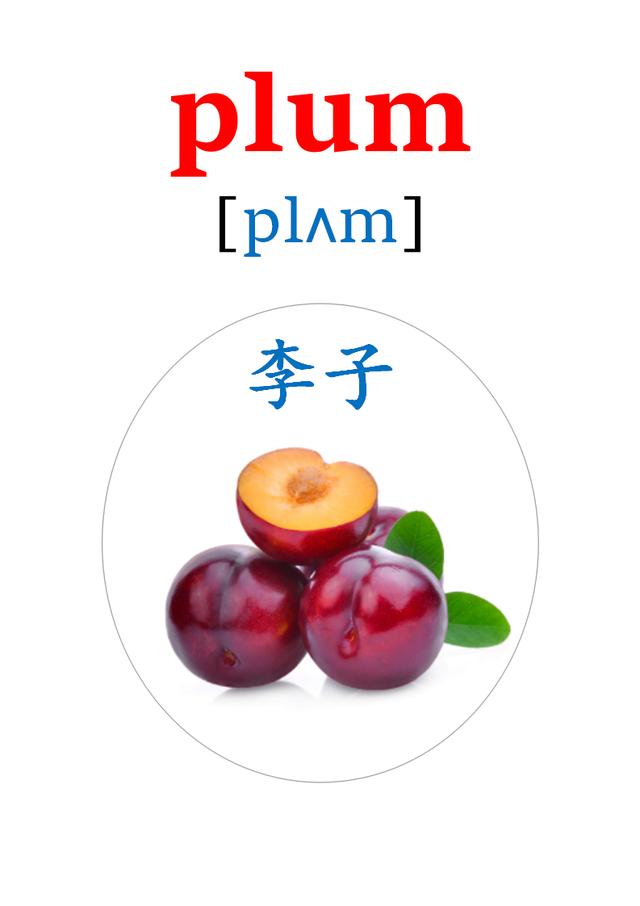 蔬菜英语单词 水果英语单词