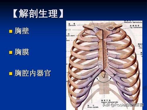 張若昀細腰上熱搜，天冷不想動如何瘦？這樣呼吸輕松瘦出小蠻腰 健身減肥達人 第16张