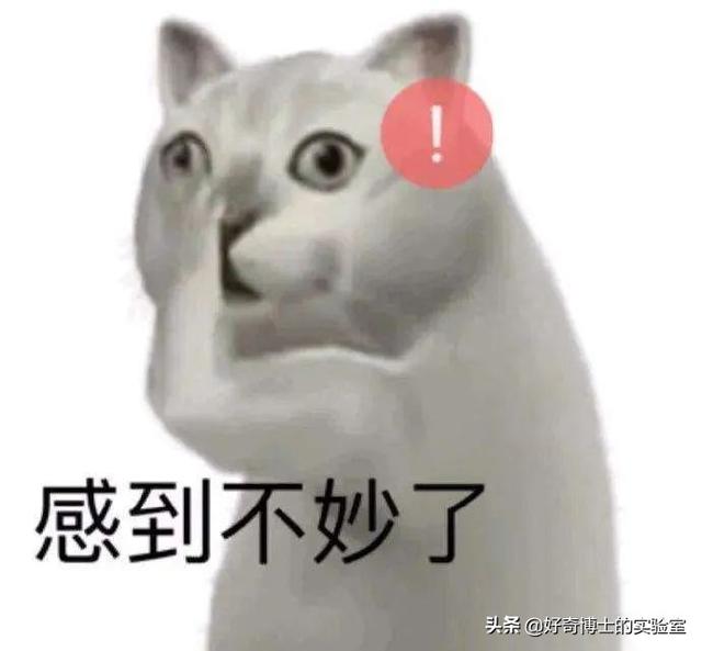 11个奇奇怪怪的微信隐藏玩法（含撩妹教程）