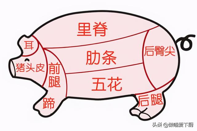 包饺子用猪肉哪个部位，猪肉馅饺子用猪哪个部位的肉好（买猪肉选前尖肉）