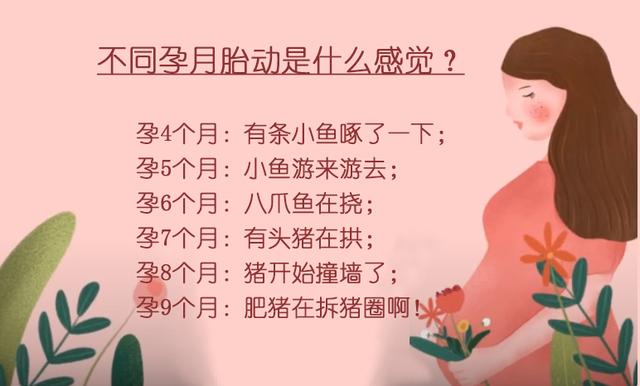 26周宝宝胎动像敲门一样，胎动是啥感觉4个月像鱼啄