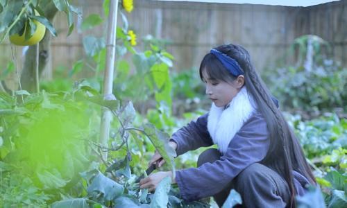 微信为什么要做视频号？直接点，就是要抓住一个赚钱的机会