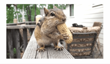 iphone广告分析（苹果最经典iPhone 广告怎么做到的）